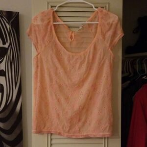 Poof Light Pink Sheer Short Sleeve Blouse M